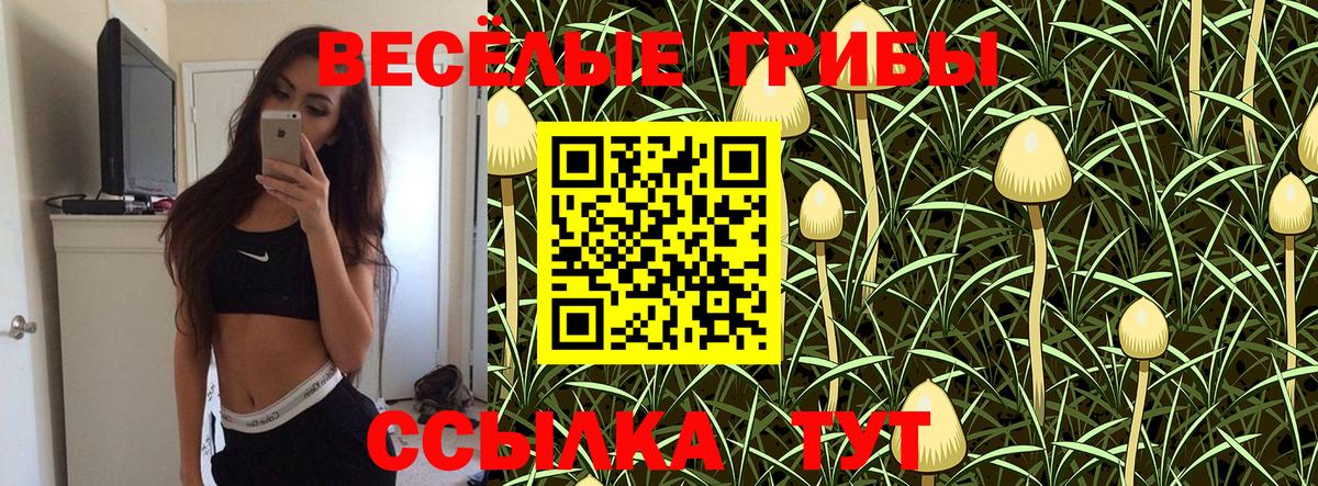 Галлюциногенные грибы Psilocybine cubensis  Вход с VPN  Карасук 