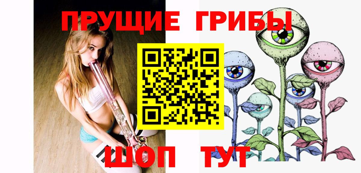 Галлюциногенные грибы Psilocybe Карасук